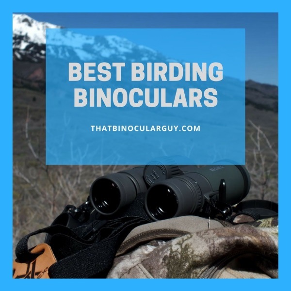 ThatBinocularGuy.com - Best Birding Binoculars