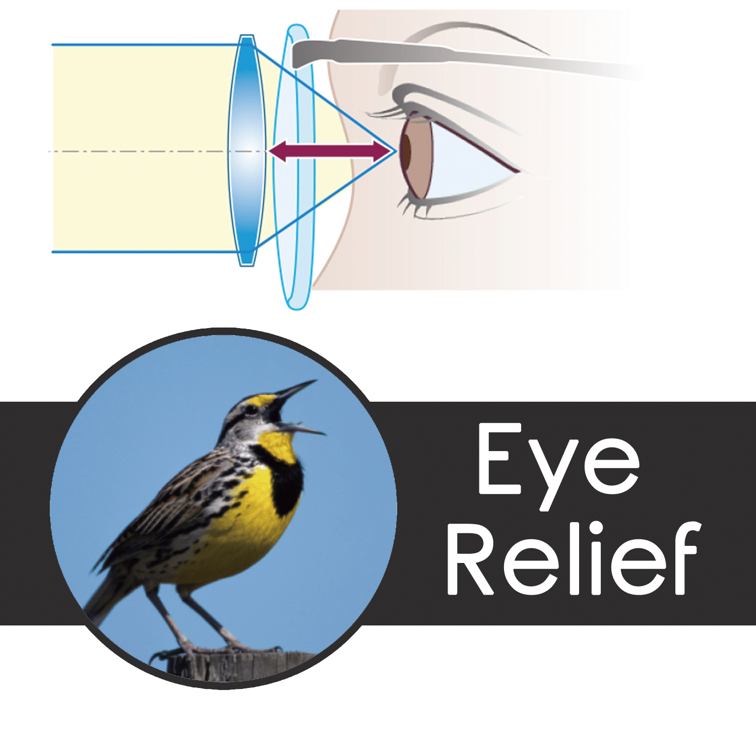 eye relief