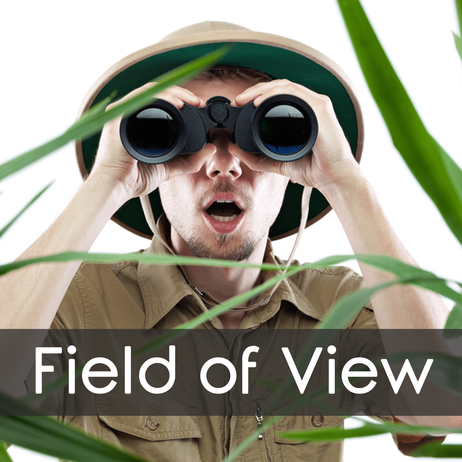 field of view
